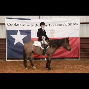 Meet your Posher, Breyer